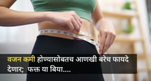 Health Care Tips: वजन कमी होण्यासोबतच आणखी बरेच फायदे देणार फक्त या बिया पाण्यात भिजवून खाल्याने!