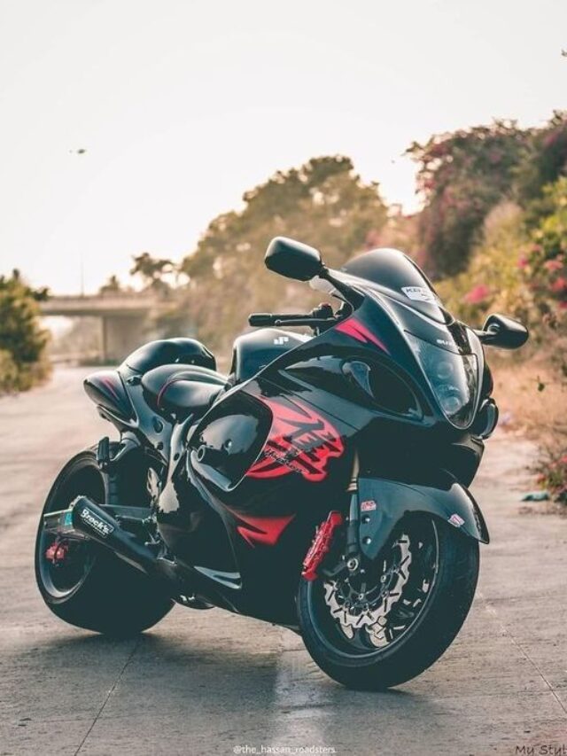 SUZUKI Hayabusa (GSX1300R) custom