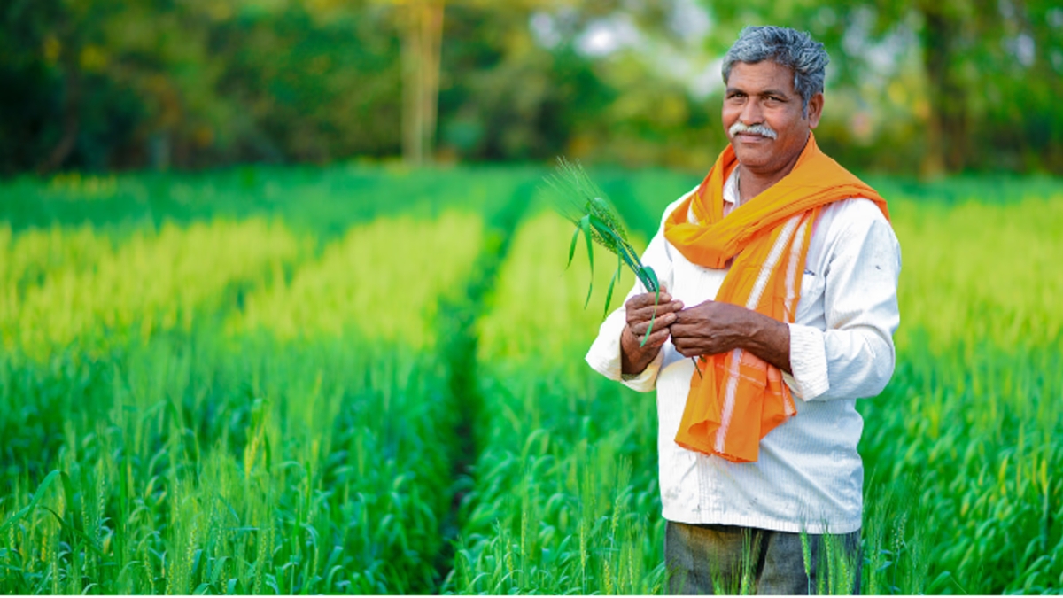 Government Schemes चा लाभ घेऊन वाढवा उत्पन्न, वाचवा पिकं आणि घ्या भरघोस सबसिडी