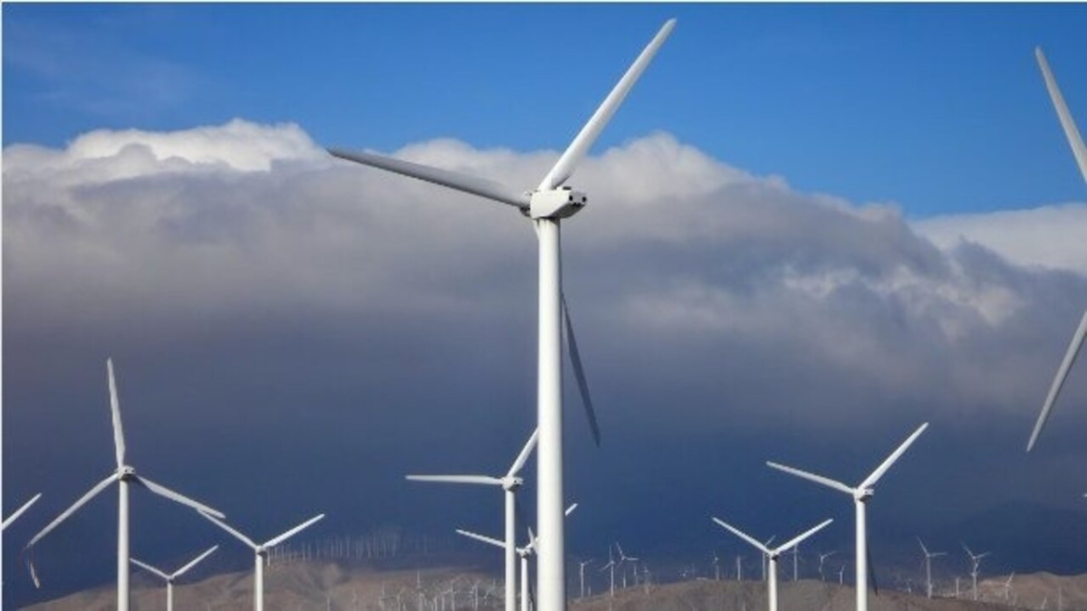 Inox Wind Share 2025 पर्यावरणपूरक गुंतवणूक आणि नफा मिळवण्यासाठी उत्तम पर्याय